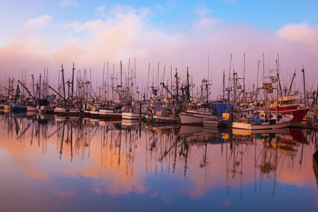 Detail of morning fog and fishing boats, Newport Harber, Oregon Coast. Pacific Northwest. by Corbis