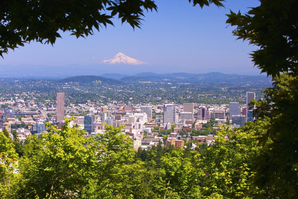 Detail of Mt.Hood from Pittock Mansion. Portland Oregon. Pacific Northwest. by Anonymous
