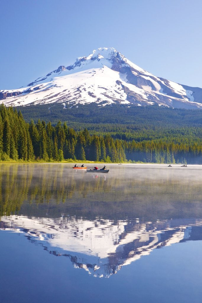 Detail of Reflection in Trillium Lake, Mt. Hood, Oregon Cascades. Pacific Northwest by Anonymous