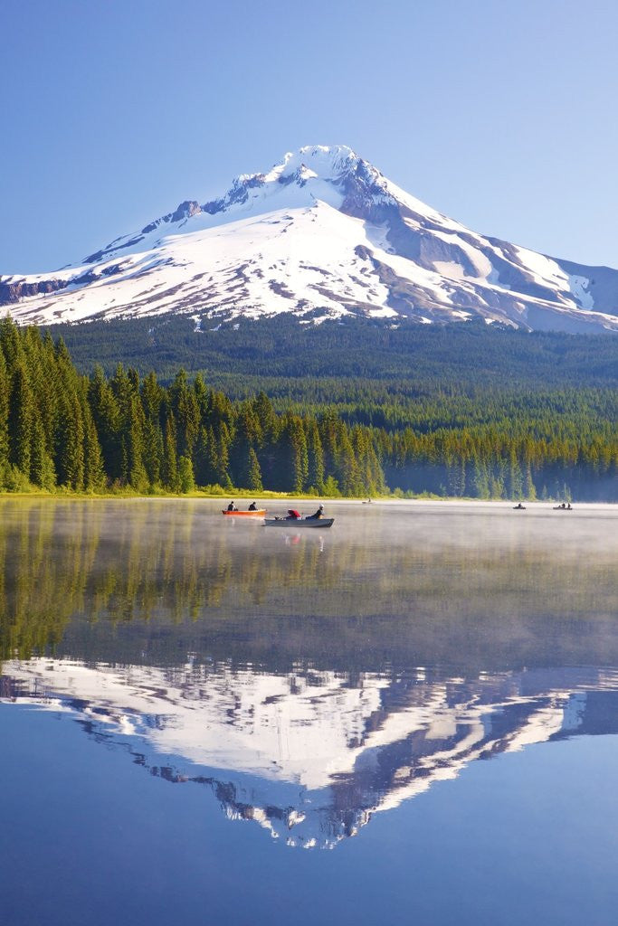 Detail of Reflection in Trillium Lake, Mt. Hood, Oregon Cascades. Pacific Northwest by Corbis