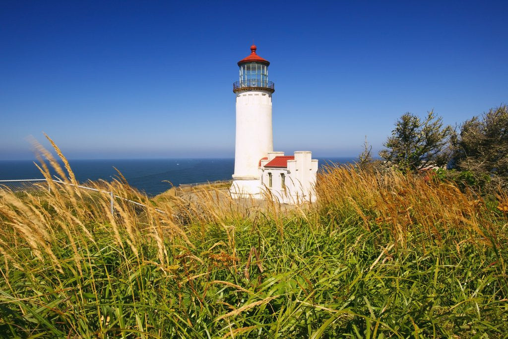 Detail of North Head Lighthouse, Washington State, Pacific Ocean, Pacific Northwest. by Anonymous