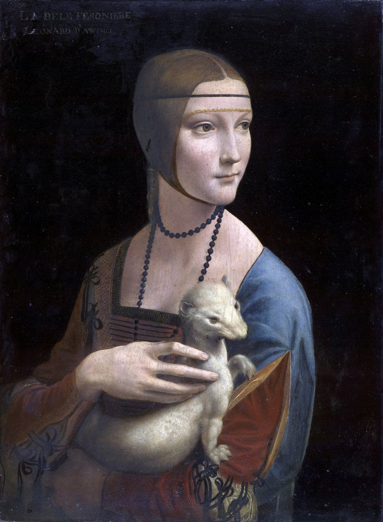 Detail of Portrait of Cecilia Gallerani (Lady with the Ermine) by Leonardo da Vinci
