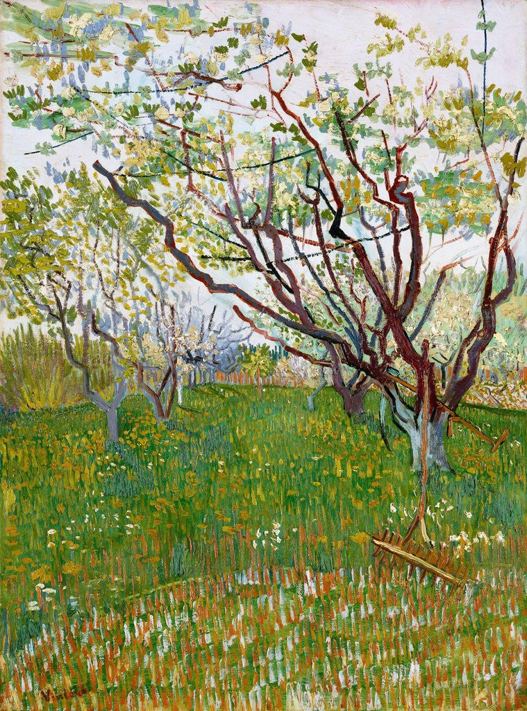 Detail of The Flowering Orchard by Vincent Van Gogh