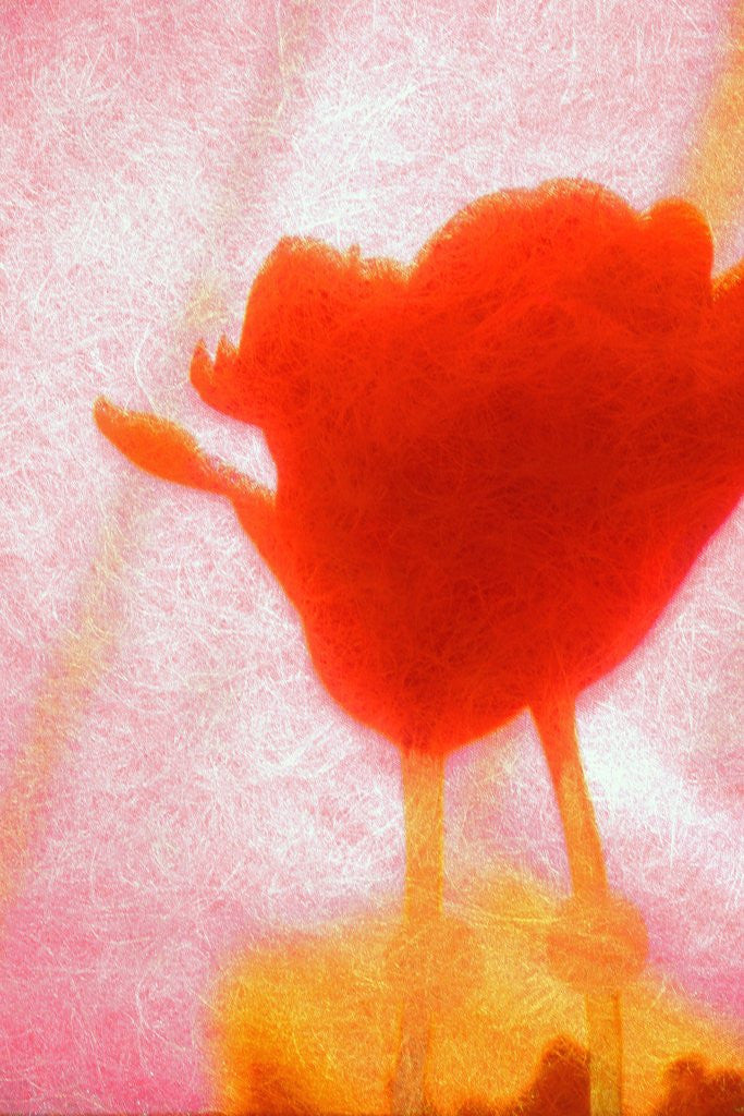 Detail of Red flower by Anonymous