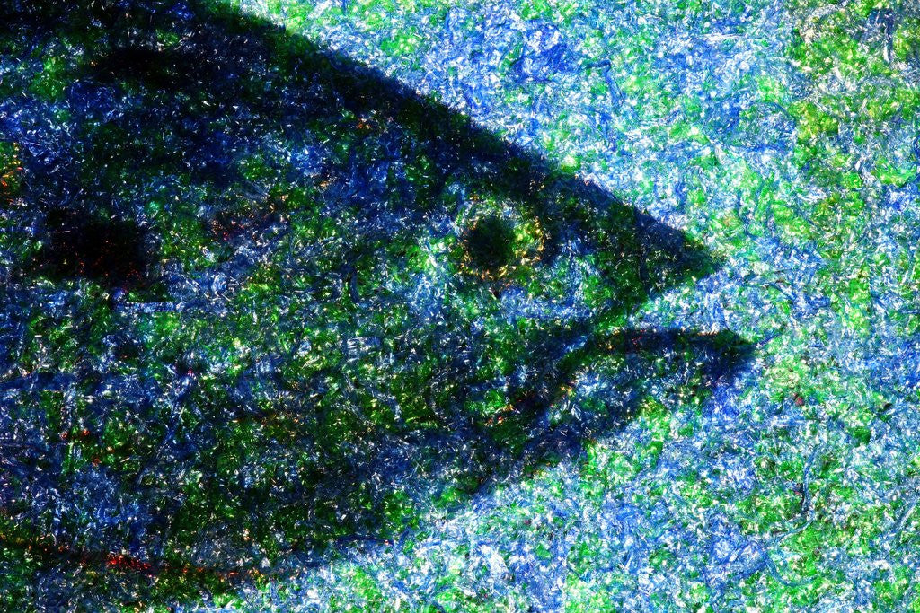 Detail of Fish by Anonymous