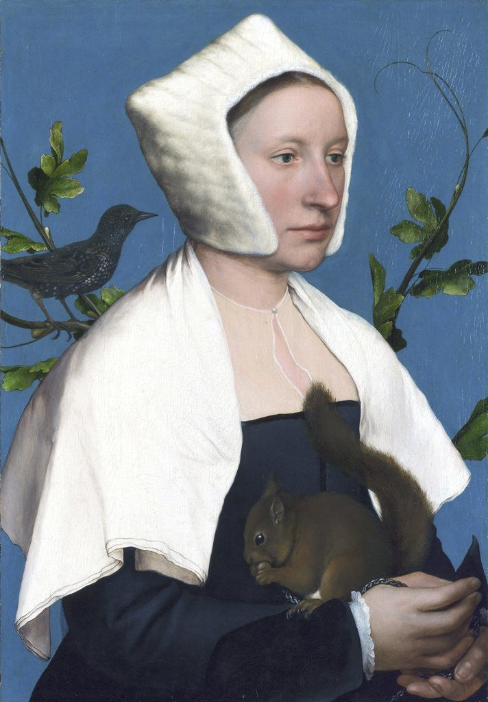 Detail of Lady with a Squirrel and a Starling by Hans Holbein The Younger
