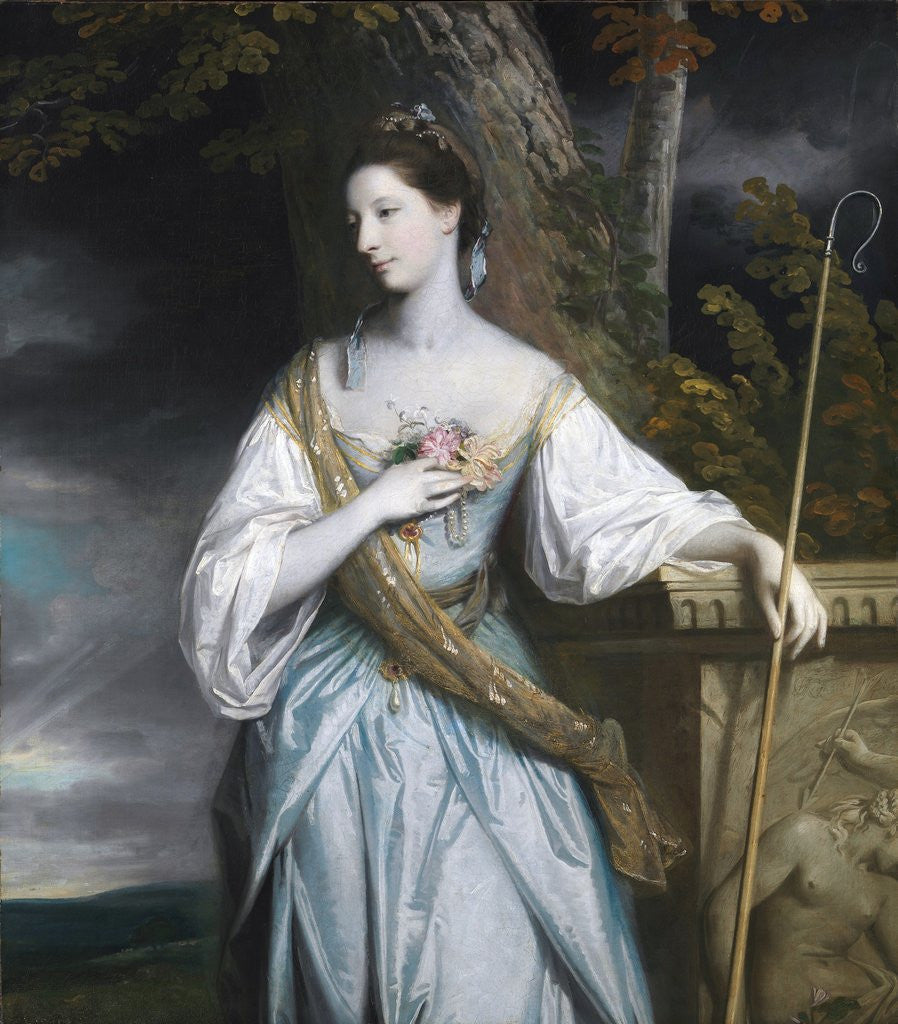 Detail of Anne Dashwood, Countess of Galloway by Sir Joshua Reynolds