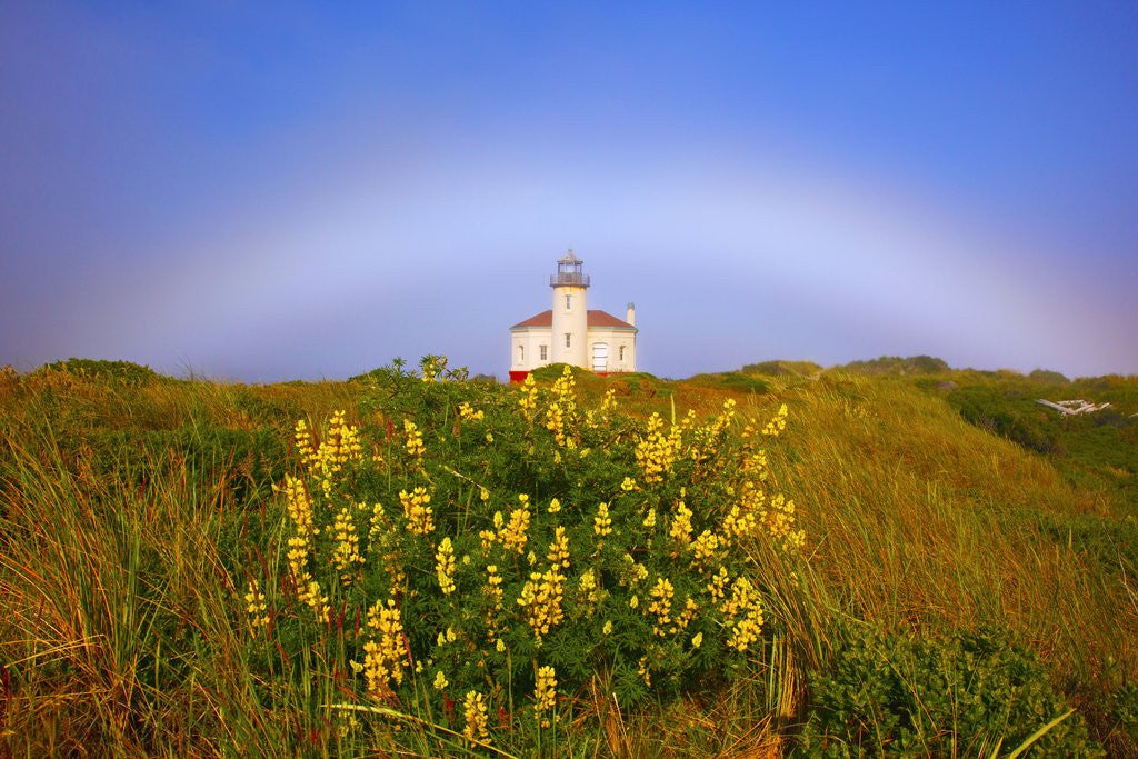 Detail of Morning light and fog make a fogbow over Coquille River Lighthouse, Bandon, Oregon Coast, Pacific Oc by Corbis