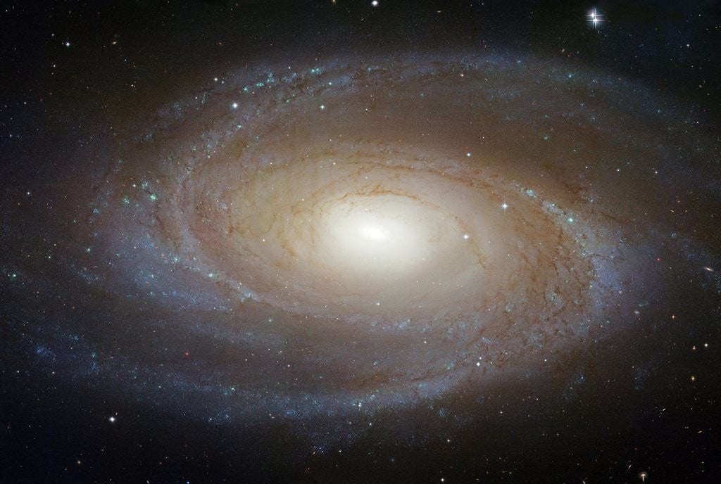 Detail of M81 Spiral Galaxy by Anonymous