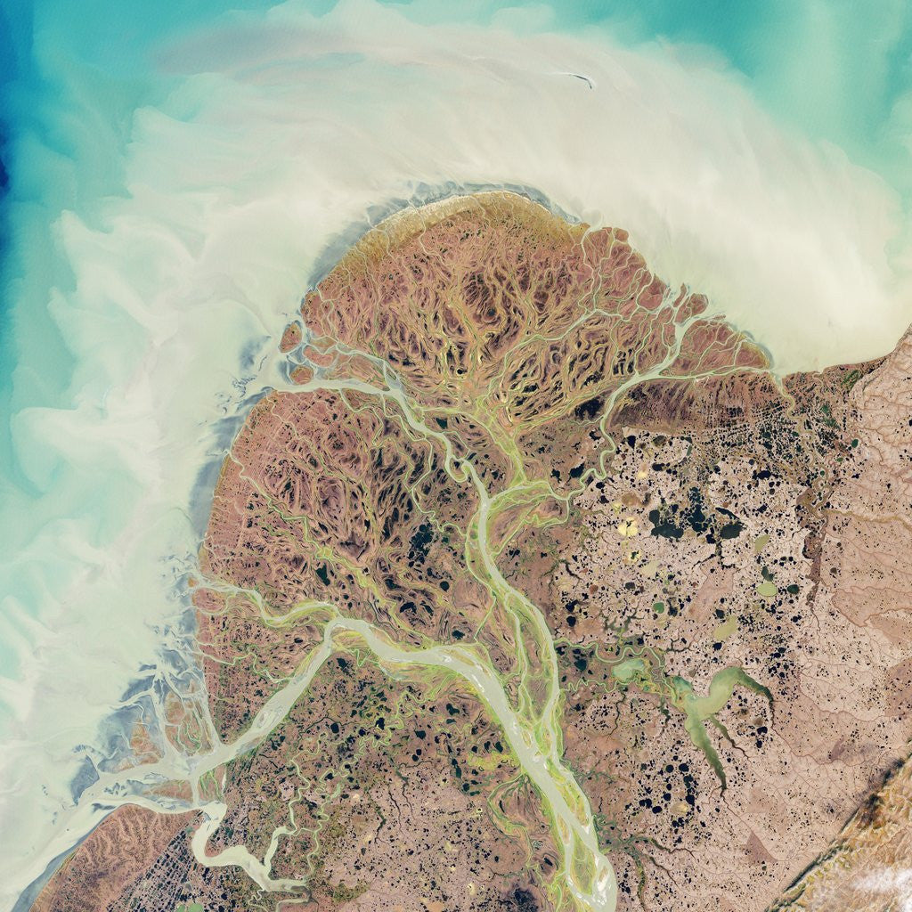 Detail of Yukon River Delta, Alaska by Anonymous