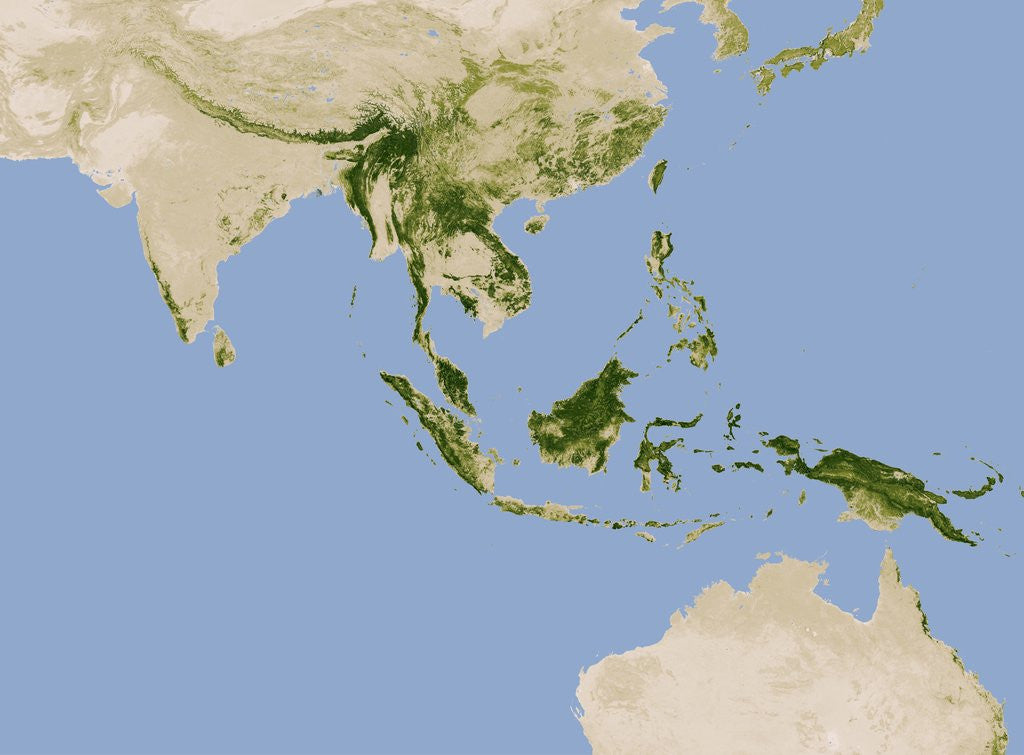 Detail of Carbon Stored in Tree Biomass in Tropical Asia by Anonymous