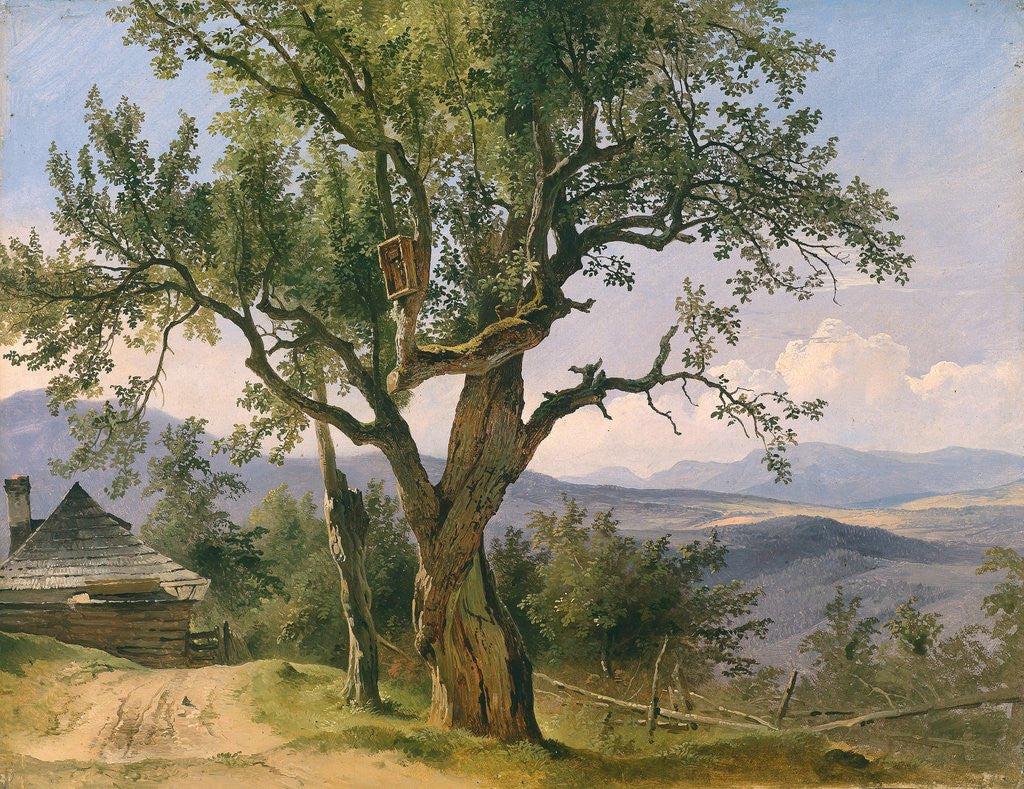 Detail of The Old Tree by Friedrich Gauermann