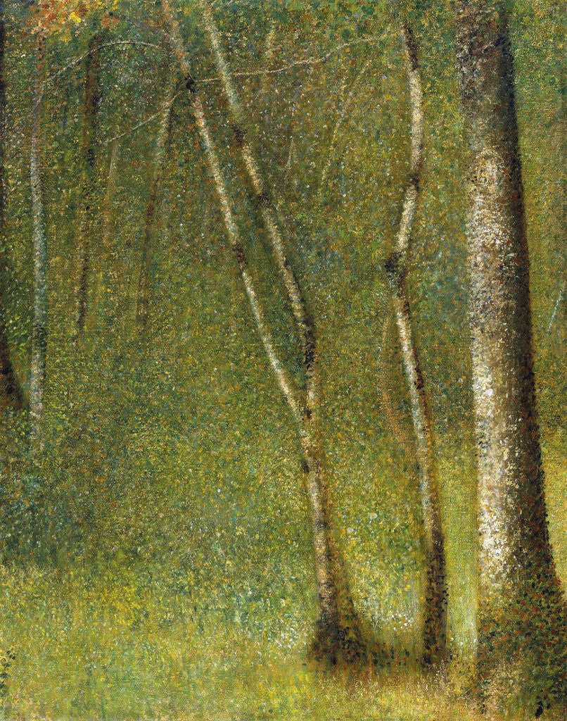 Detail of The Forest at Pontaubert by Georges Seurat