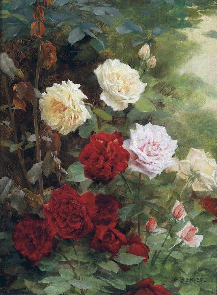 Detail of Roses by Gustave Bienvetu