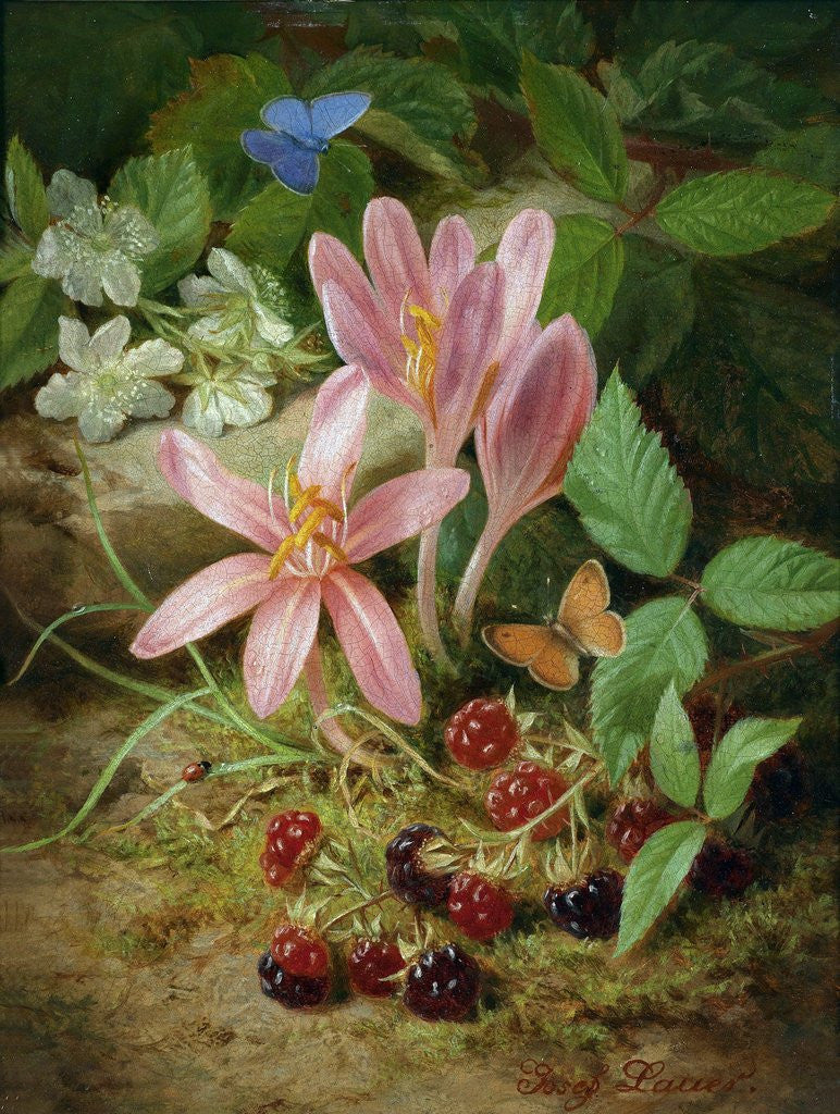 Detail of Autumn Flower with Blackberries by Josef Lauer