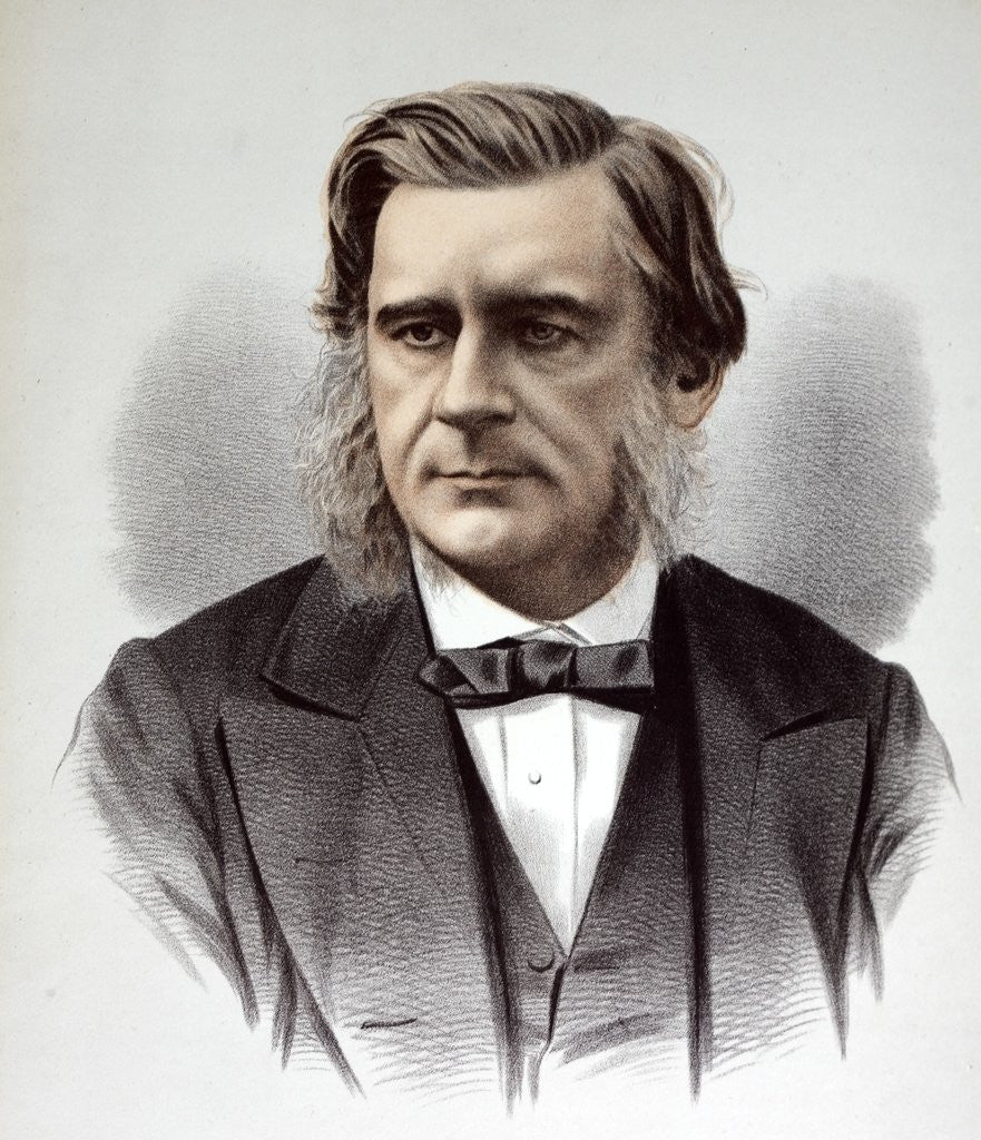 Detail of Thomas Henry Huxley PC FRS by Anonymous
