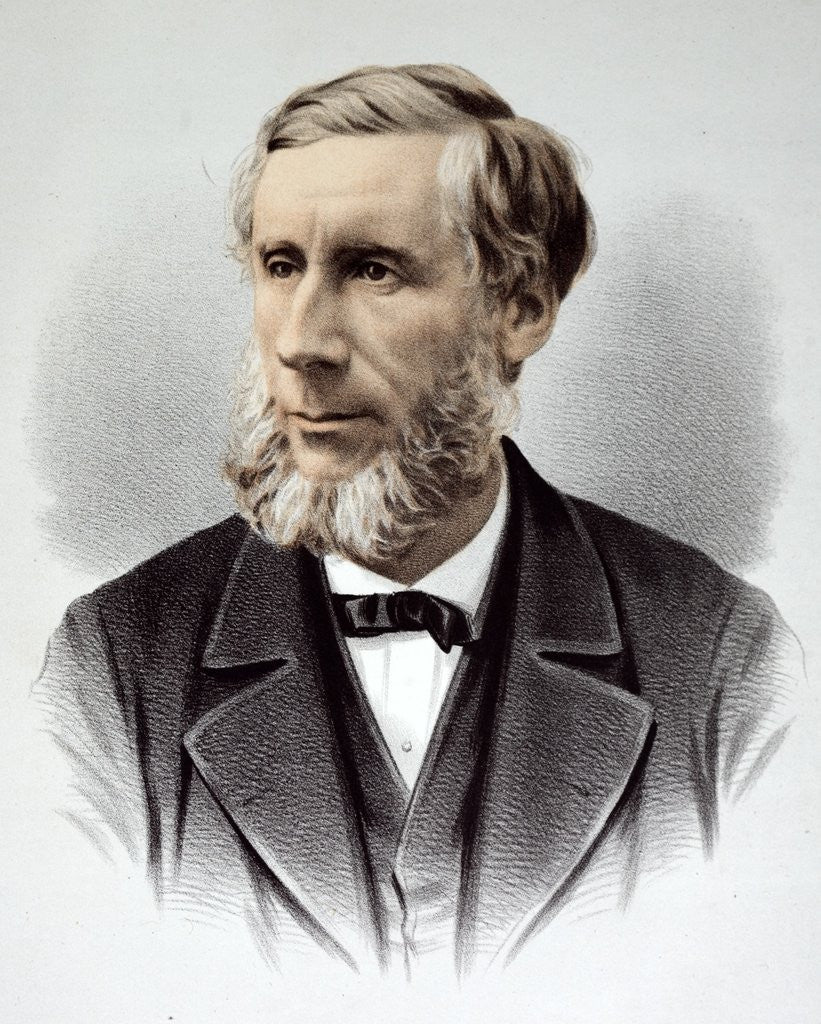 Detail of Professor John Tyndall FRS by Anonymous