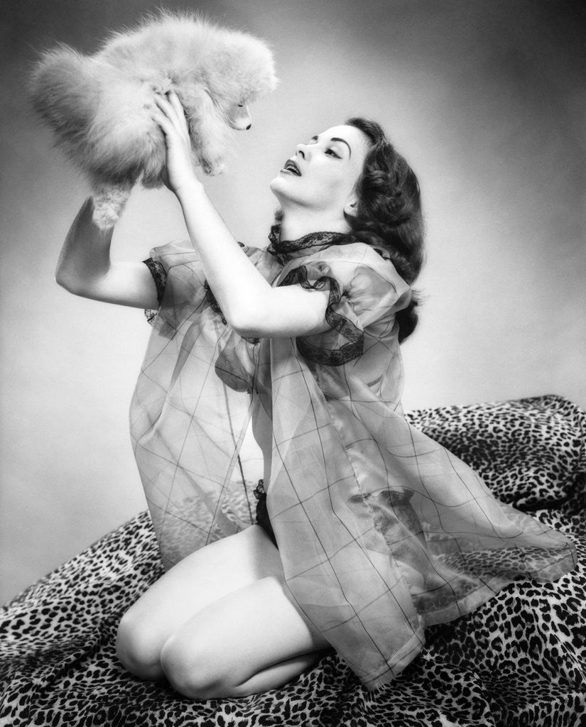 Detail of 1950s young woman wearing sexy lingerie kneeling on leopard skin holding fluffy dog by Anonymous