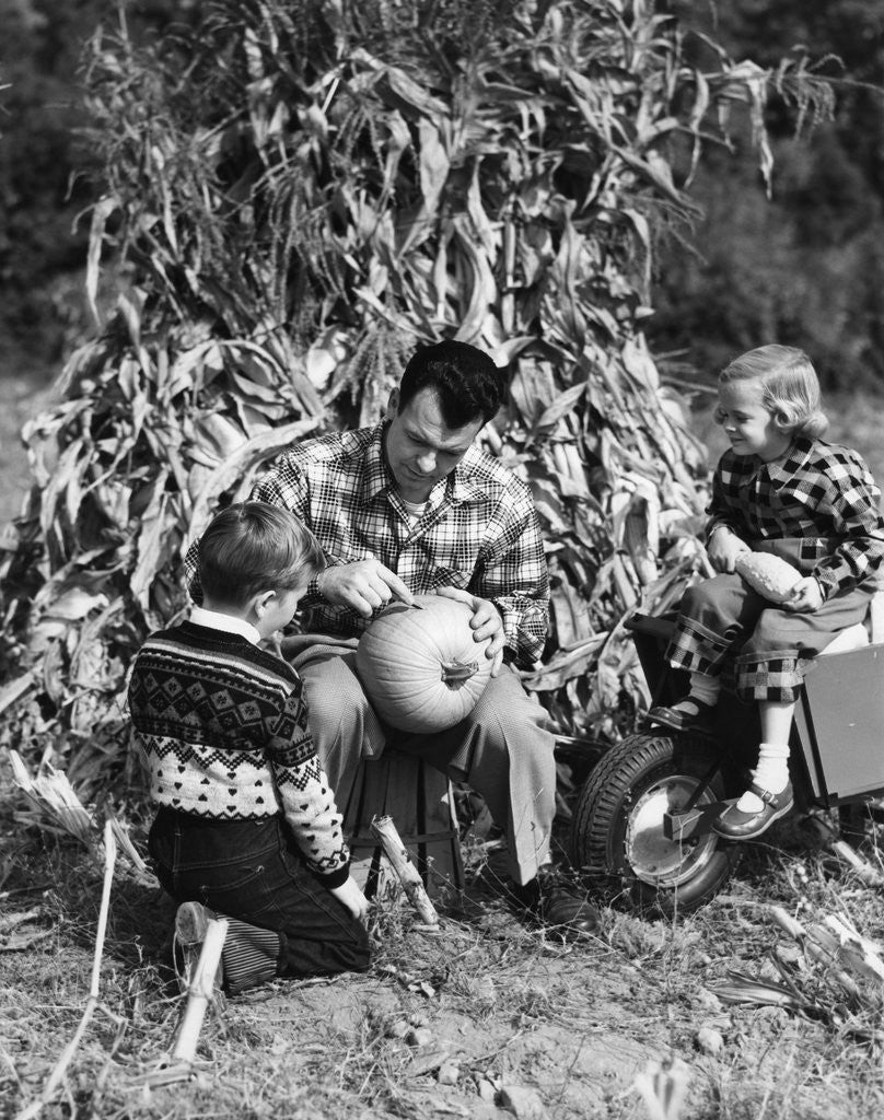 Detail of 1950s boy & girl sitting in front of corn stalks watching father carve pumpkin by Anonymous