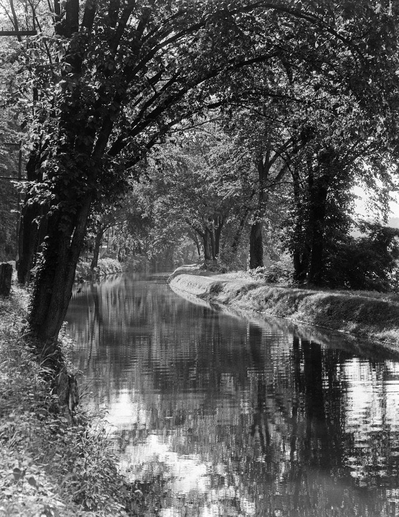Detail of 1920s 1930s water in section of abandoned delaware canal reflecting trees lining its banks by Anonymous