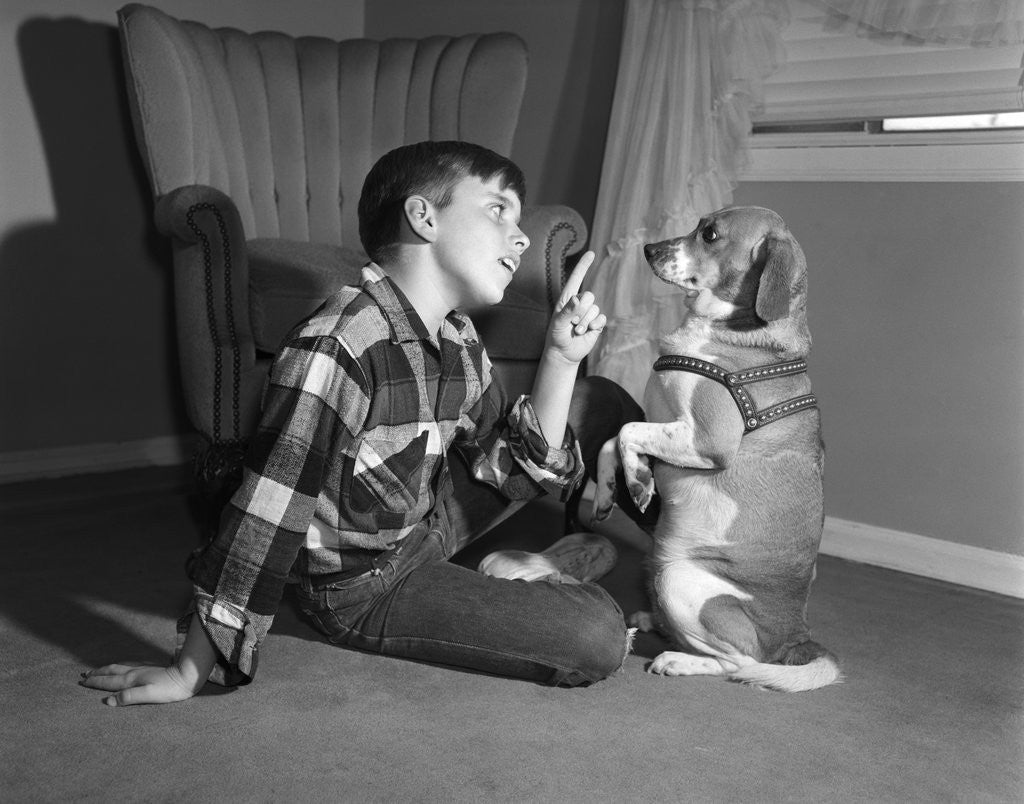 Detail of 1950s boy in plaid shirt shaking finger at dog sitting up on rear legs by Anonymous