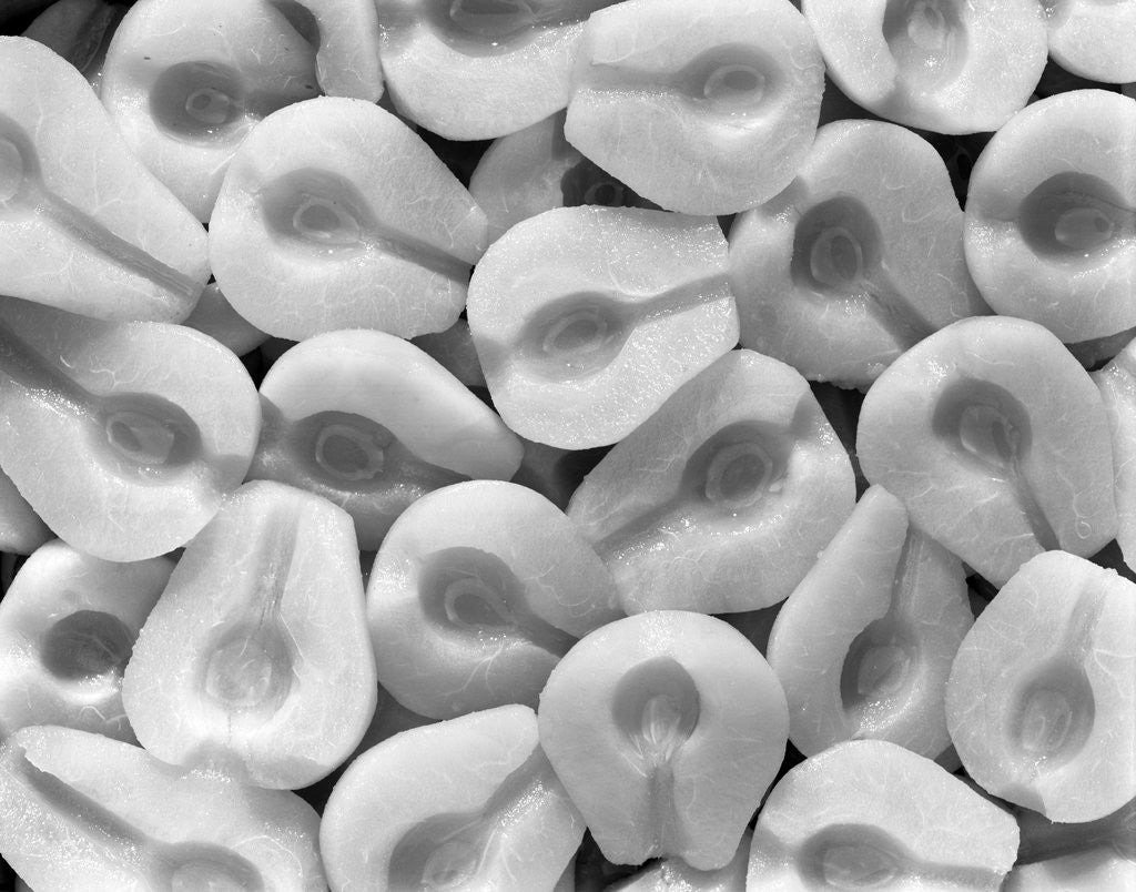 Detail of 1940s pears halves, fruit sliced by Anonymous