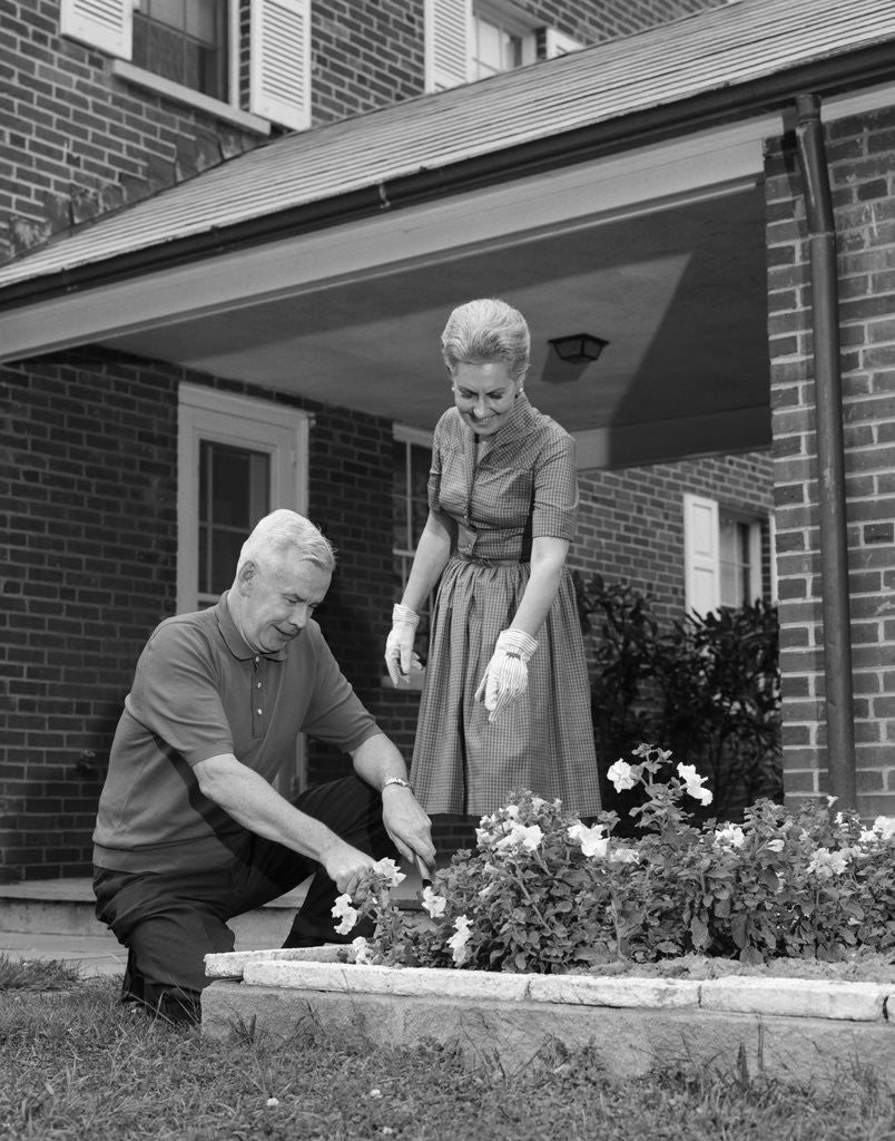 Detail of 1960s senior couple man woman planting flower garden by Anonymous