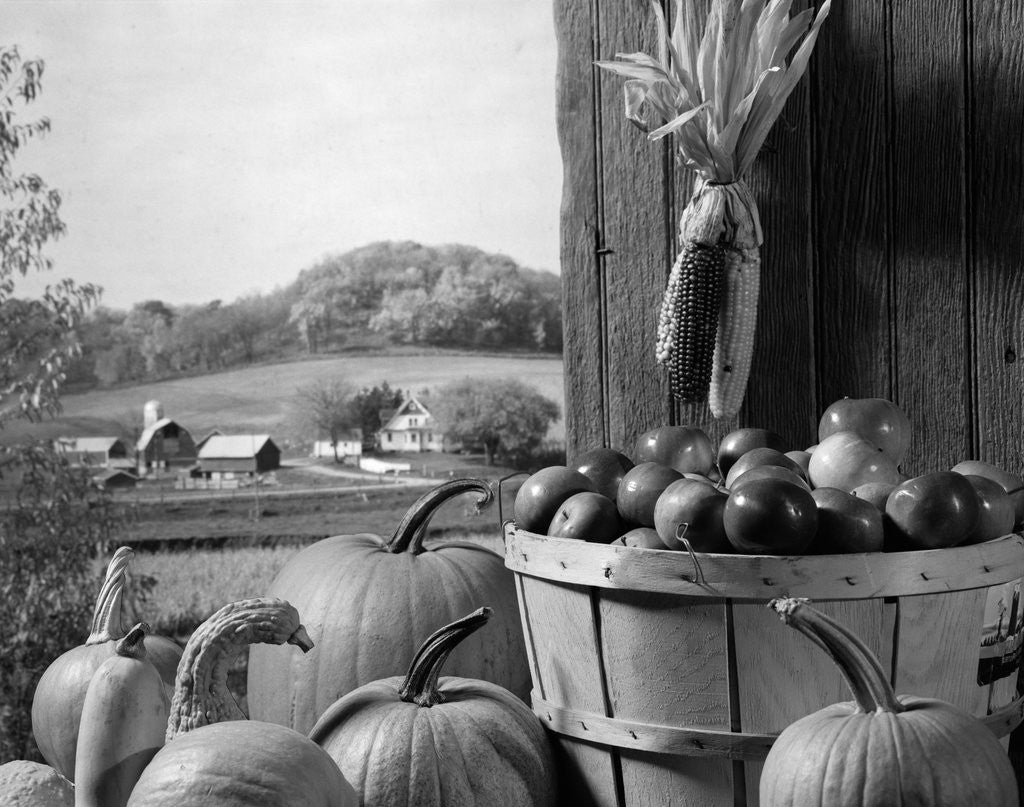 Detail of 1960s barn door corn apples pumpkins autumn harvest time by Anonymous