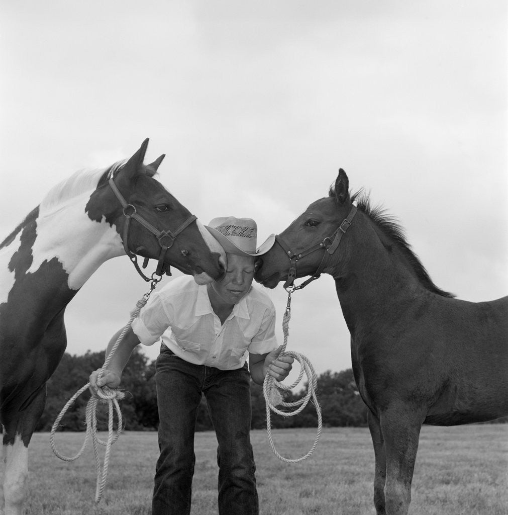 Detail of 1960s boy wearing cowboy hat holding ropes reins harness halter of 2 horses one on either side of his face kissing him funny by Anonymous