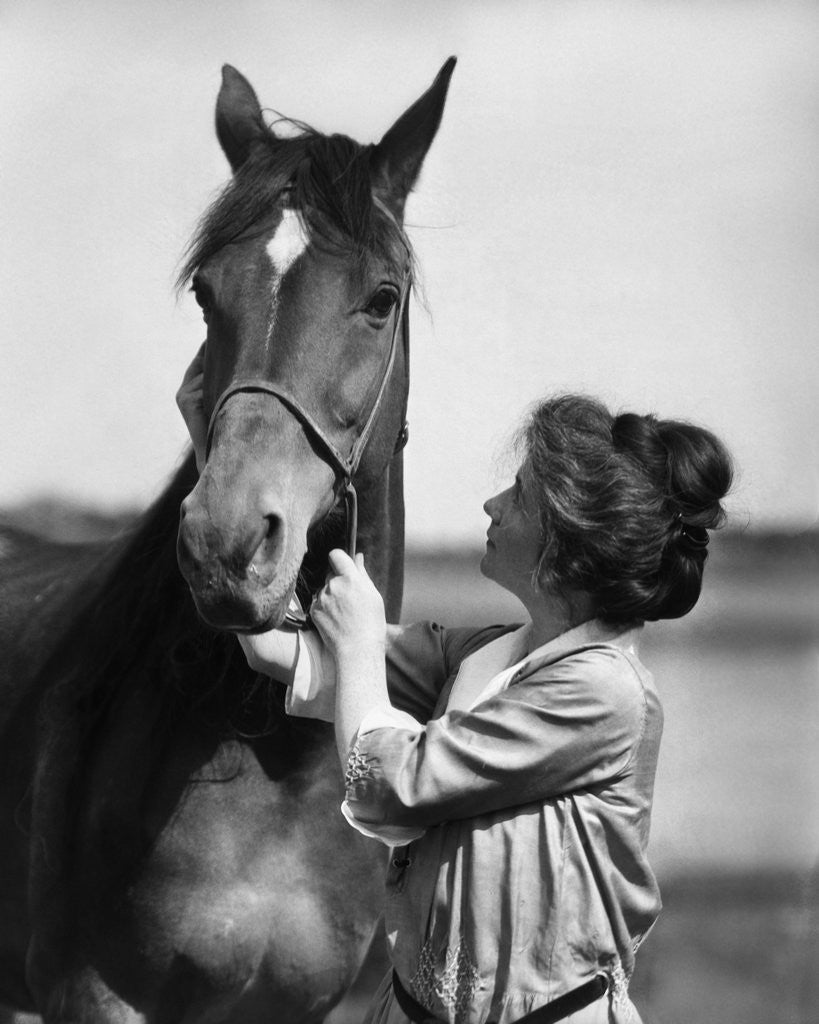 Detail of 1900s 1910s young woman with upswept hair holding horse by halter by Corbis