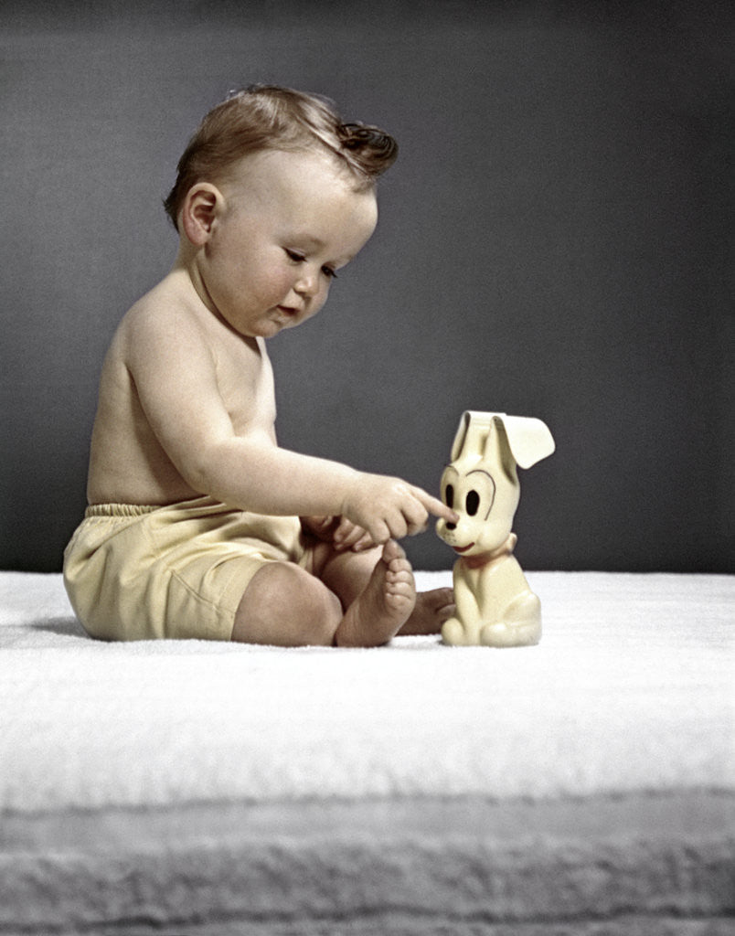 Detail of 1940s 1950s baby sitting touching toy dog by Anonymous