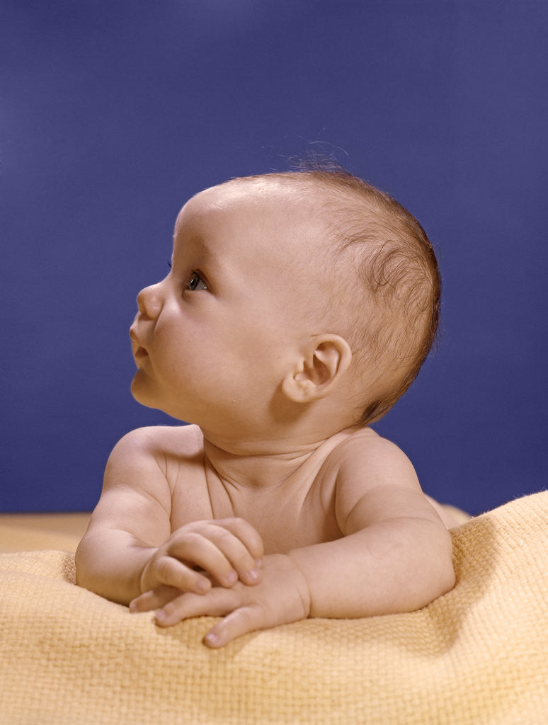 Detail of 1960s portrait of baby on yellow blanket resting on folded arms head turned to right looking up by Anonymous