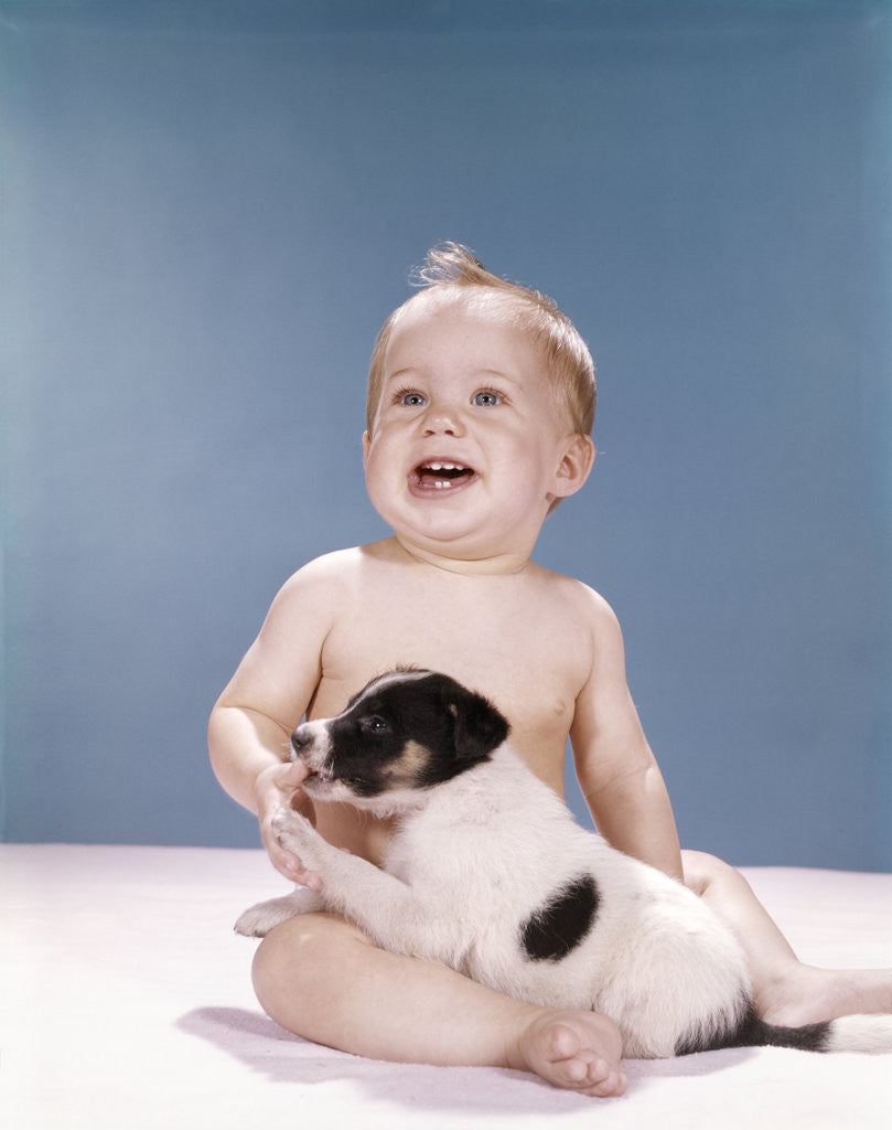 Detail of 1960s smiling baby girl sitting in diapers playing with young black and white puppy dog by Anonymous