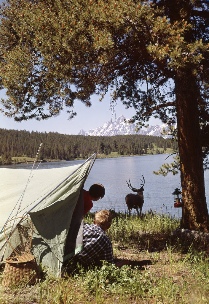Detail of 1950s grand teton national park wyoming two children in tent looking at deer by lake by Anonymous