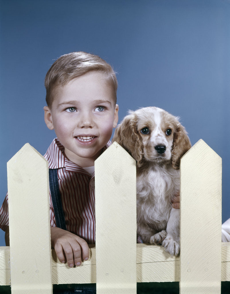 Detail of 1960s boy puppy dog looking over white picket fence by Anonymous