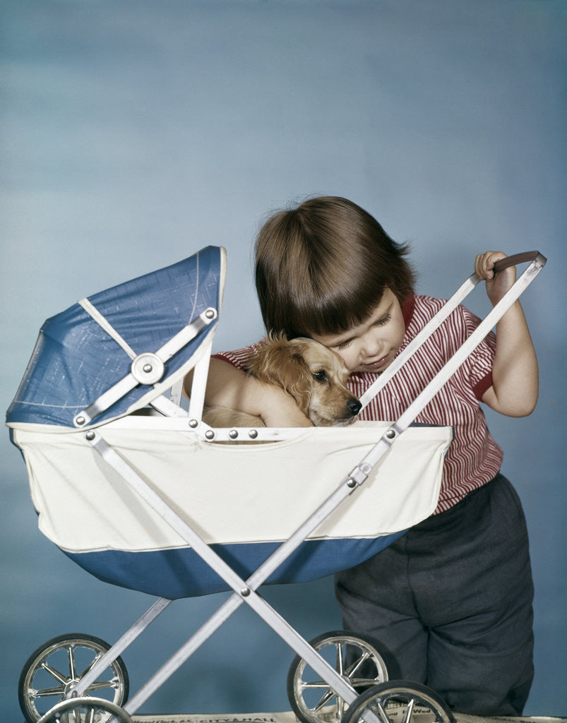 Detail of 1950s 1960s little girl hugging cocker spaniel puppy riding in a baby carriage studio by Anonymous