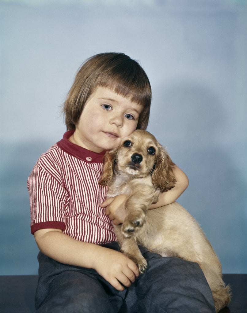 Detail of 1950s 1960s winsome sad little girl sitting hugging a cocker spaniel puppy studio by Anonymous