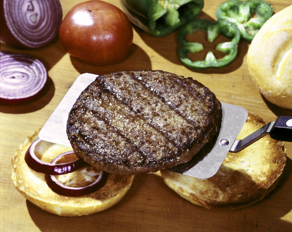 Detail of Hamburger beef patty, onion, tomatoes & peppers and rolls by Anonymous