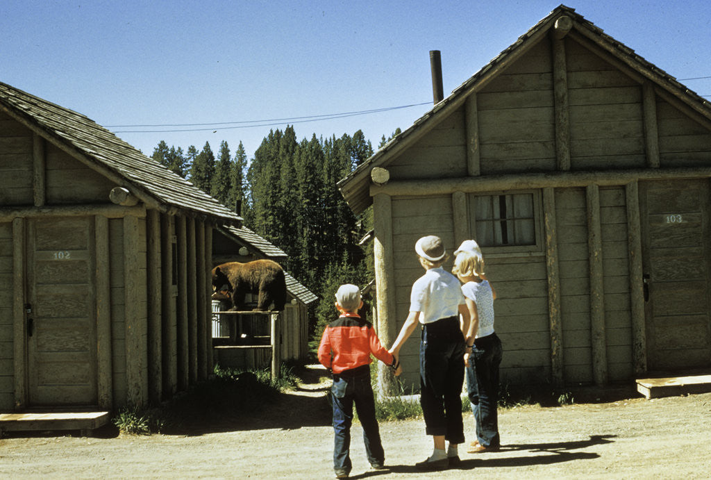 Detail of 1950s mother and children visiting yellowstone national park wyoming 1956, looking at bear behind cabins by Anonymous