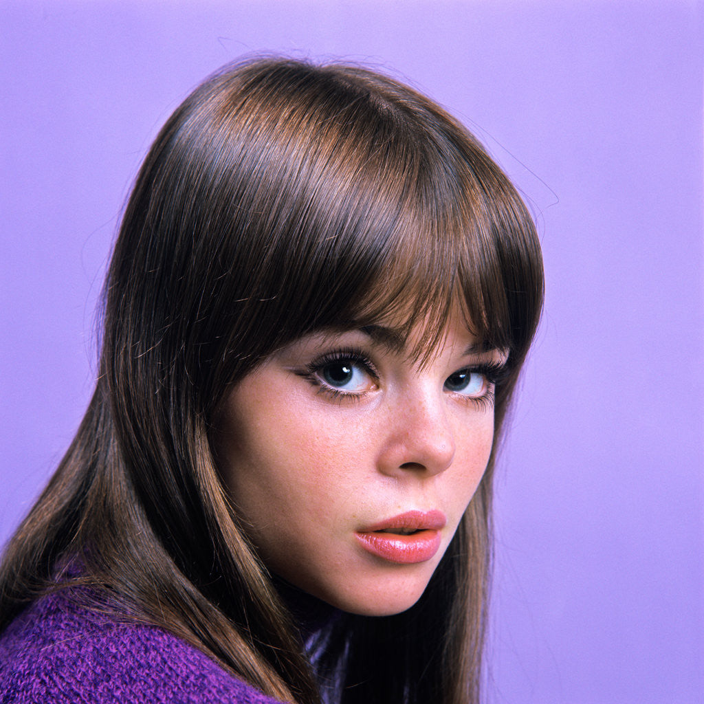 Detail of 1960s portrait young brunette woman teen head shoulders purple background by Anonymous