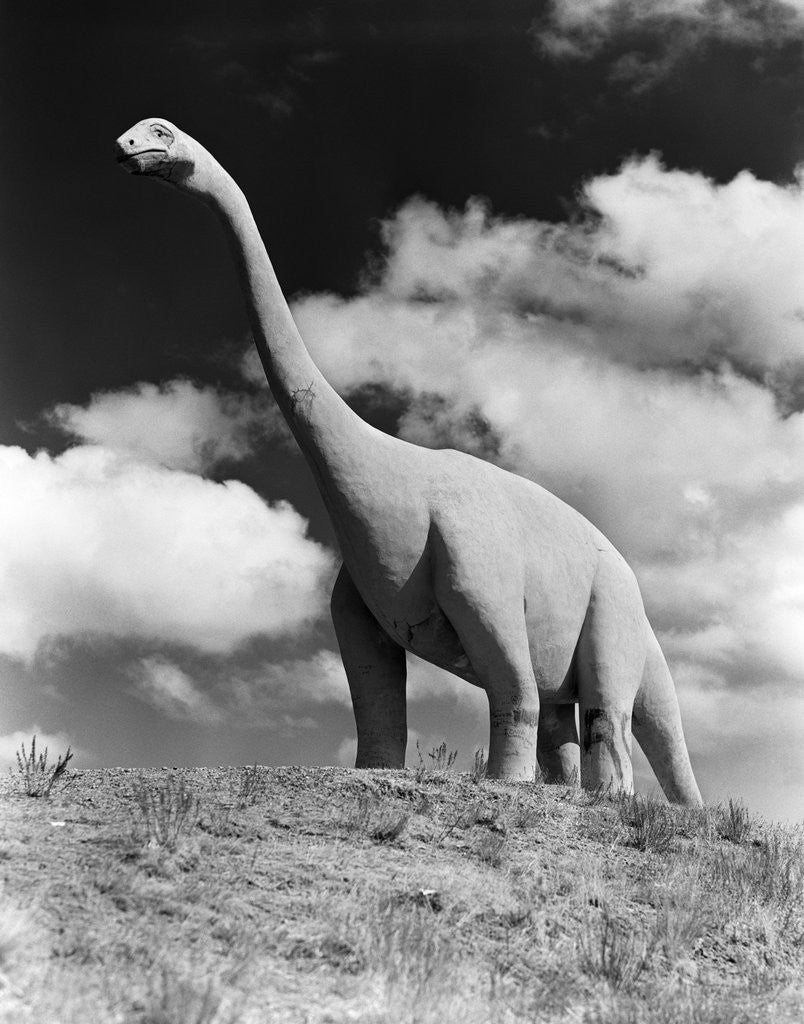 Detail of 1950s statue of large extinct long neck gigantic brontosaurus on hilltop jurassic tourist attraction long neck gigantic south dakota usa by Corbis
