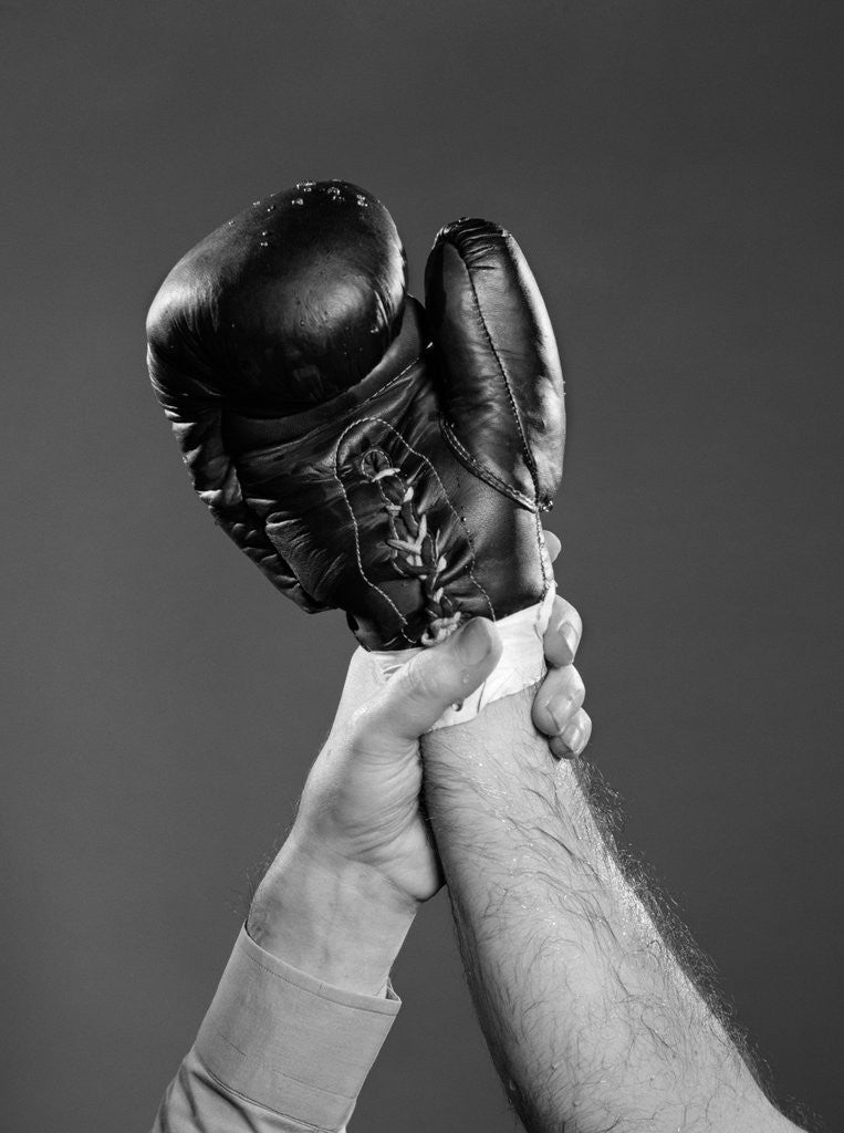 Detail of 1950s gloved hand of winner of boxing match being held up by referee by Corbis