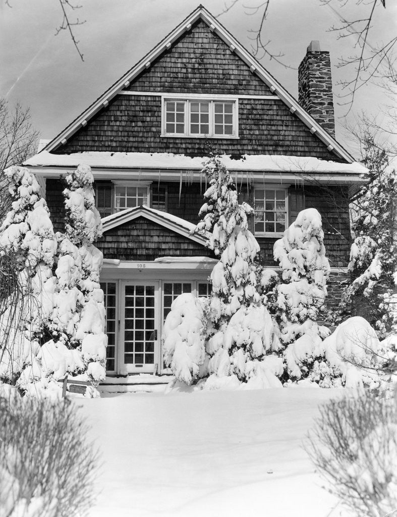 Detail of 1940s three story shingle style house with pine trees and shrubs covered with snow by Anonymous
