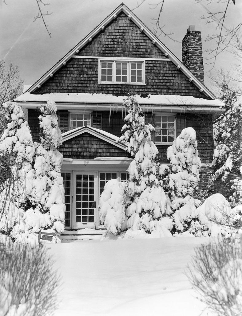 Detail of 1940s three story shingle style house with pine trees and shrubs covered with snow by Corbis