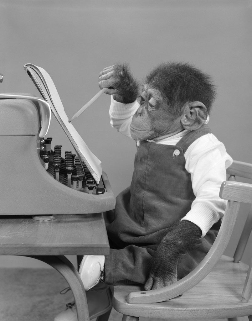 Detail of 1950s chimp in overalls sitting in chair at typewriter with pencil & steno pad by Anonymous