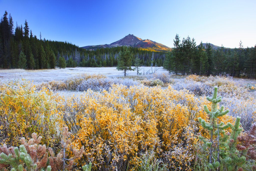 Detail of morning frost adds beauty to Broken Top, Three Sisters Wilderness, Oregon Cascades, by Anonymous