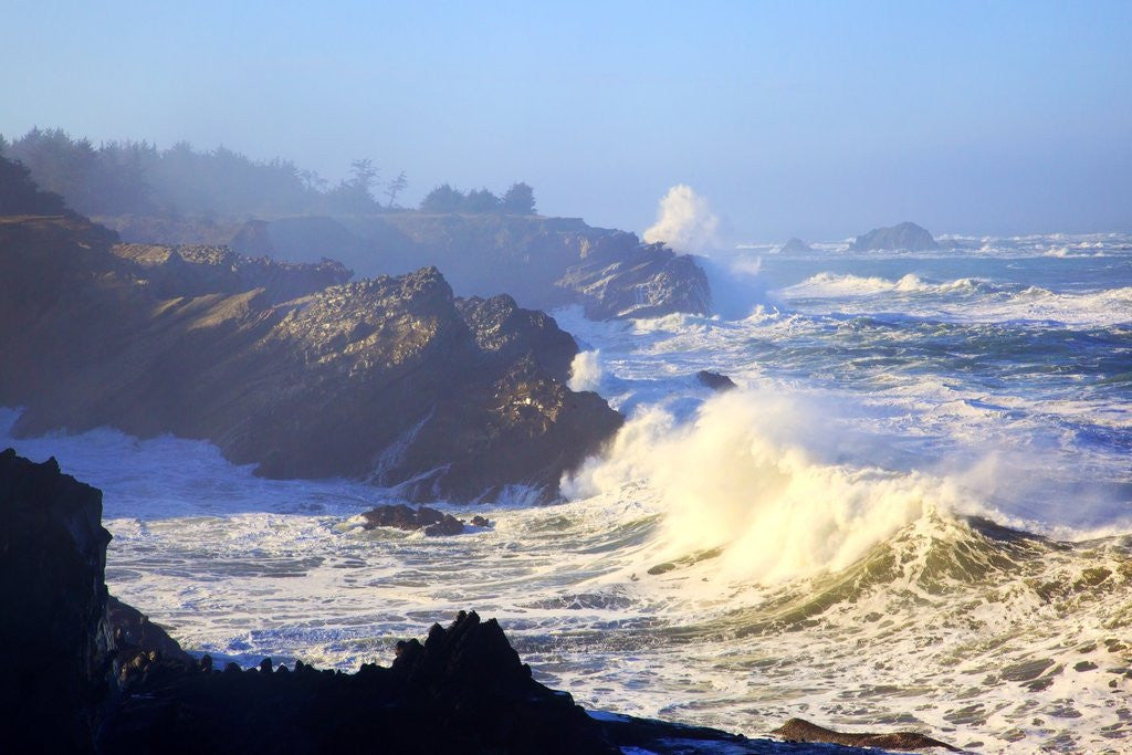 Detail of winter storm waves crash on headline at Shore Aceres State Park, Oregon Coast, Pacific Ocean by Anonymous