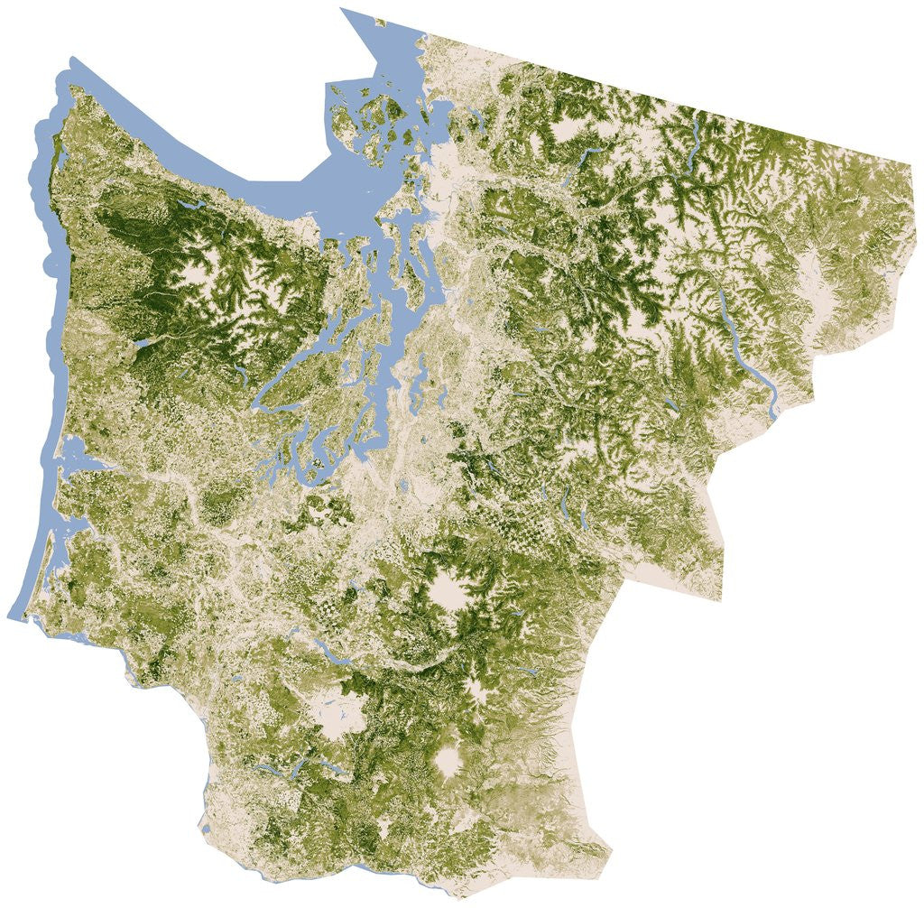 Detail of Satellite biomass map of western Washington State by Corbis