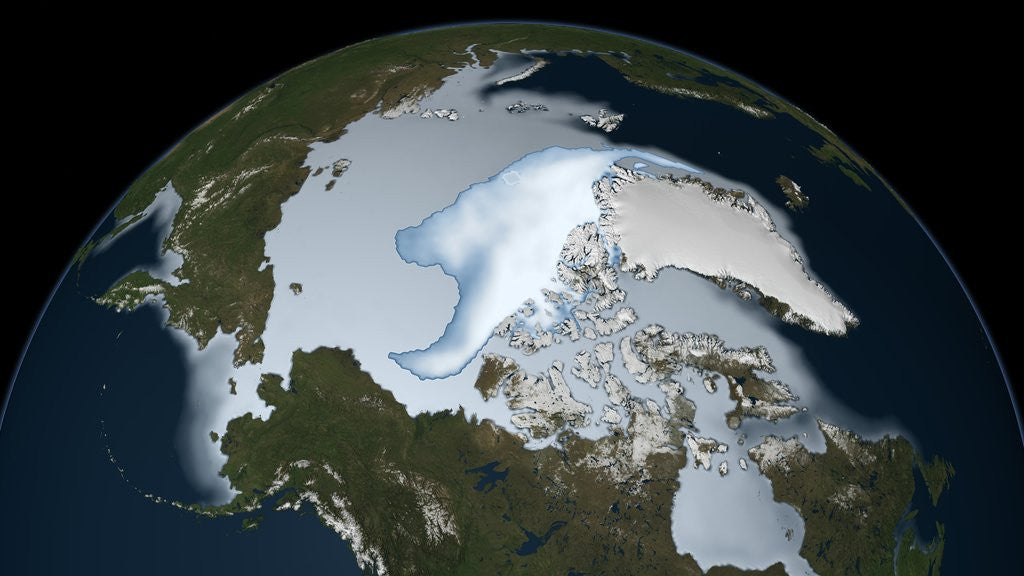 Detail of Satellite image showing the loss of multi-year sea ice in the Arctic Ocean in 2012 by Anonymous