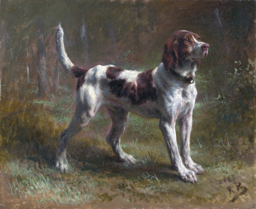 Detail of A Limier Briquet Hound by Rosa Bonheur
